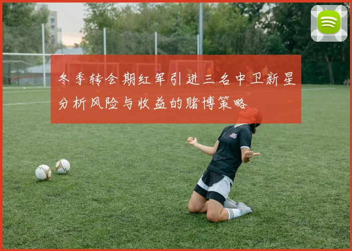 冬季转会期红军引进三名中卫新星分析风险与收益的赌博策略