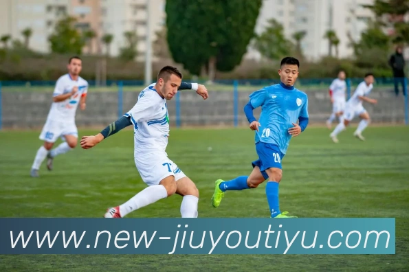 九游体育平台生态图